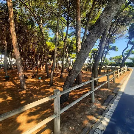 Apartment Pinolo Bilo Int 4 - Myho Casa Alba Adriatica